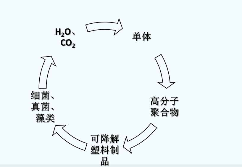 什么是可生物降解塑料？(圖1)