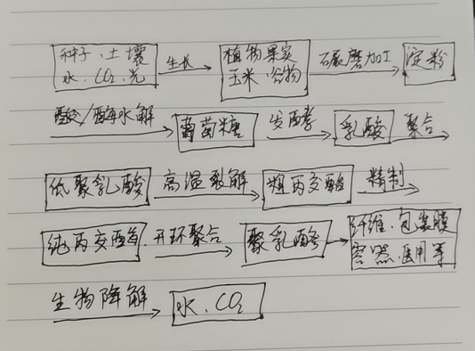 生物降解袋中的PLA是如何制得的？(圖1)